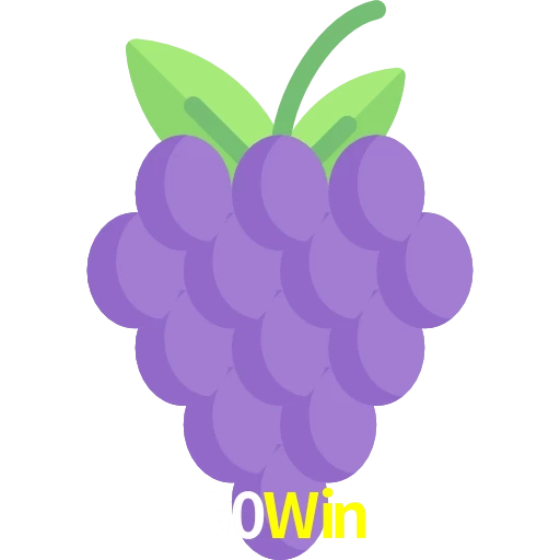 80Win